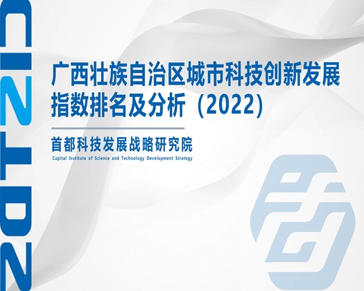 操日韩肉丝大屁股【成果发布】广西壮族自治区城市科技创新发展指数排名及分析（2022）
